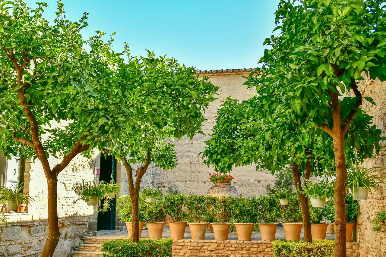 Vue sur le jardin conservée depuis l'intérieur malgré la pose d'un film miroir sans tain
